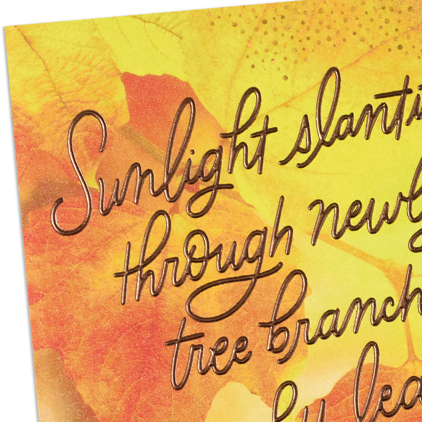 Slanting Sunlight and Crunchy Leaves Thanksgiving Card for only USD 4.59 | Hallmark