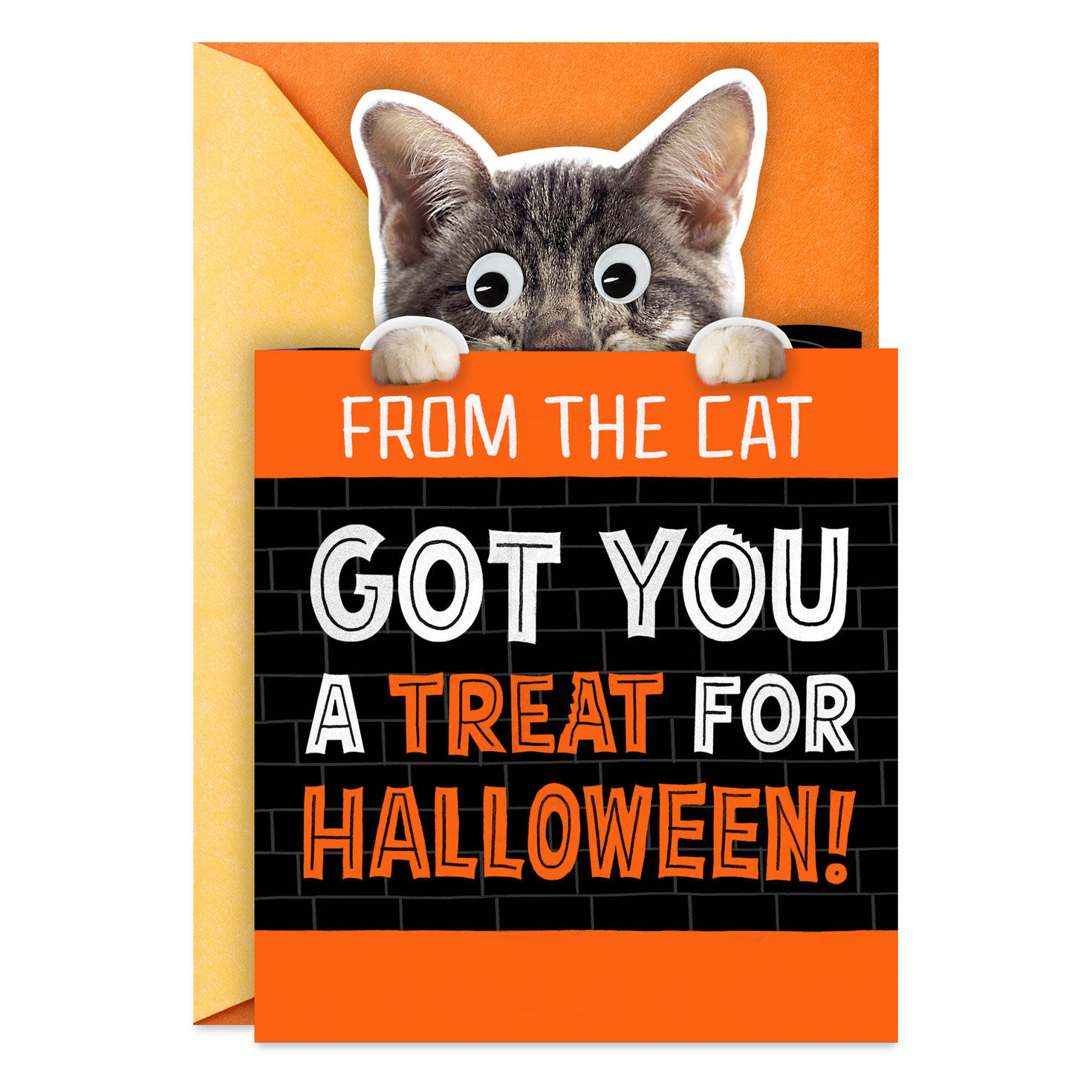 Mice Treats Funny Halloween Card from Cat