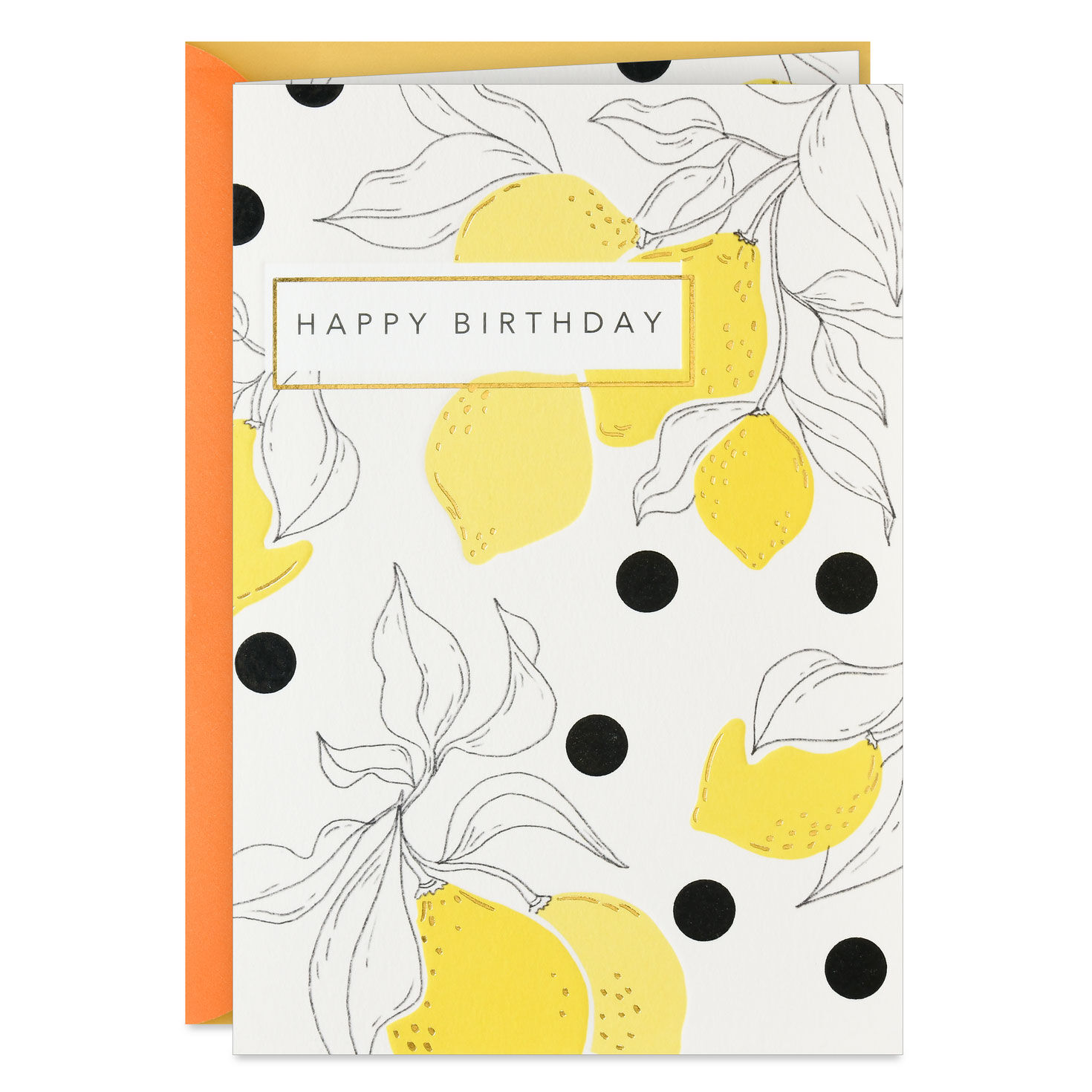 All the Goodness for You Birthday Card