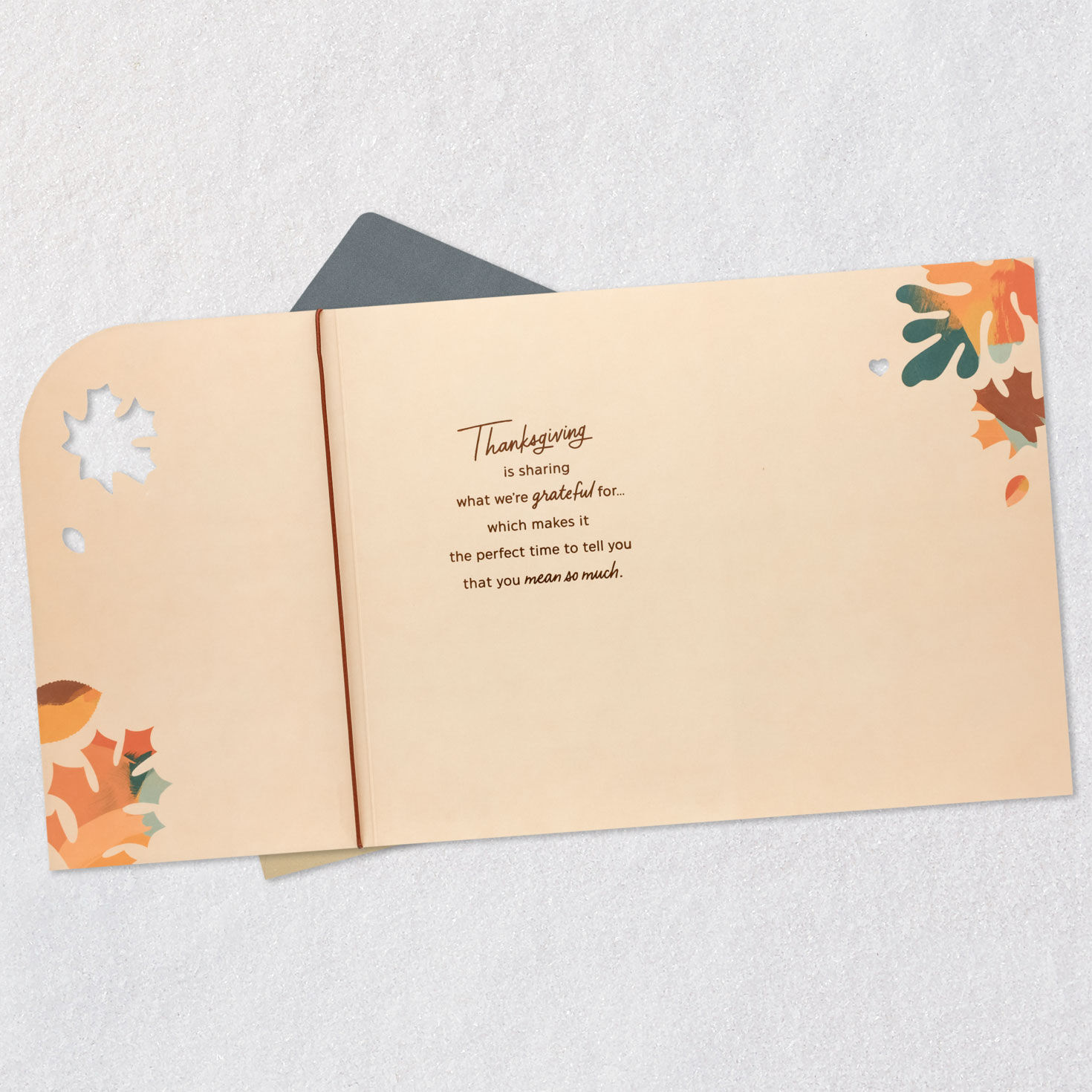 Autumn Leaves Thanksgiving Card Open card with envelope image number 5
