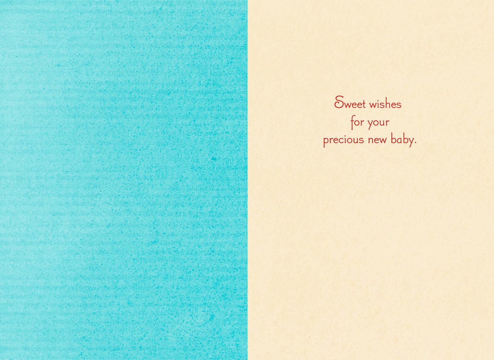 Sweet Wishes New Baby Card