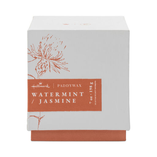 Paddywax Watermint & Jasmine Boxed Ceramic Candle, 7 oz., 
