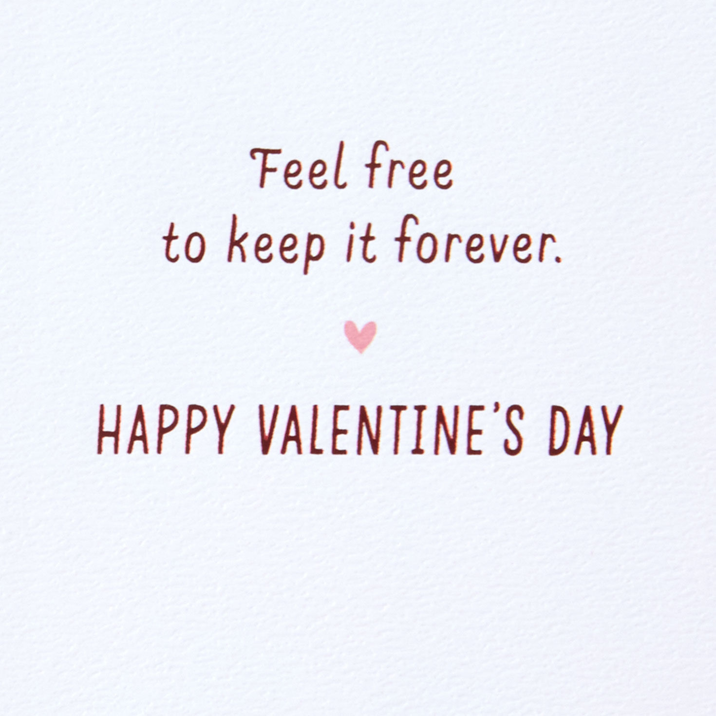 Raccoon Couple in Trash Bin Valentine's Day Card Sentiment image number 2