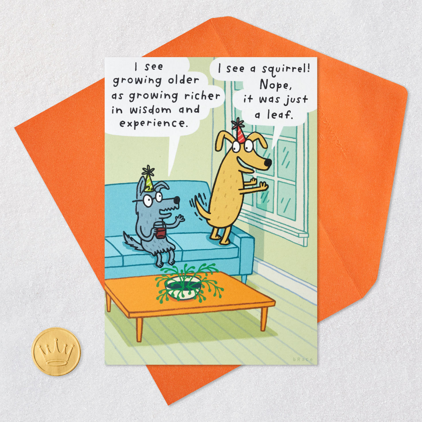 I See a Squirrel Funny Birthday Card for only USD 4.49 | Hallmark