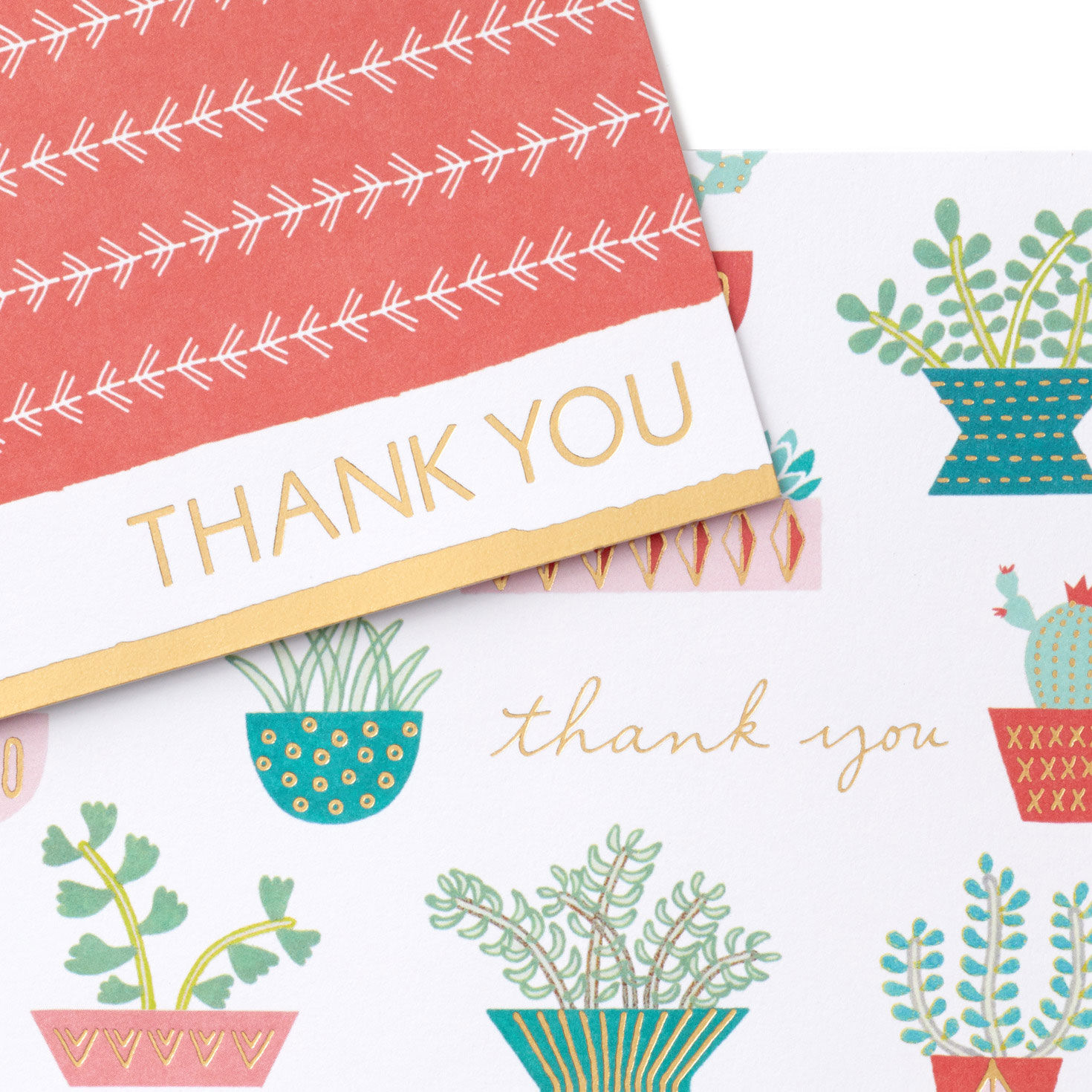 Succulents and Arrows Assorted Blank Thank-You Notes, Pack of 50, , large image number 5