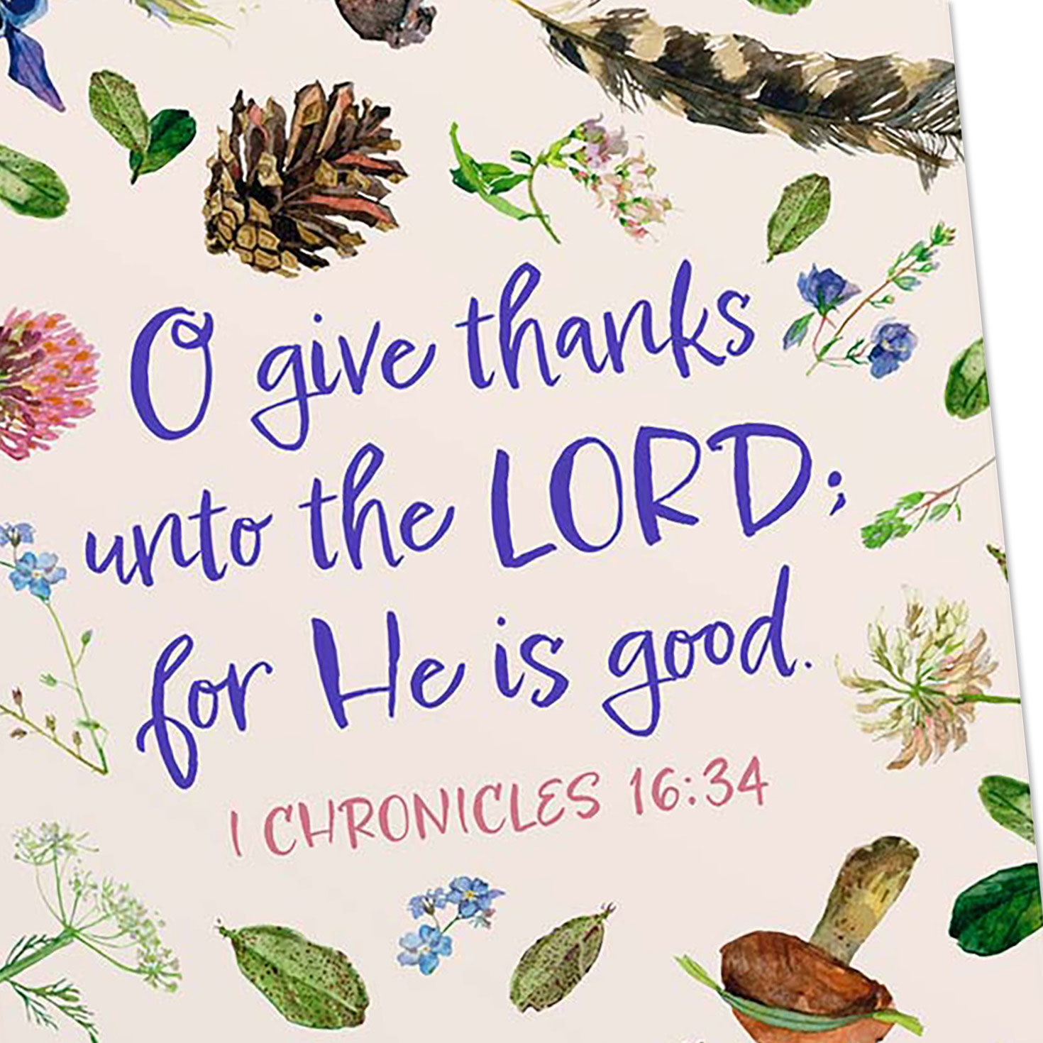 Flowers DaySpring Thank You Cards Assortment Cover Detail image number 5