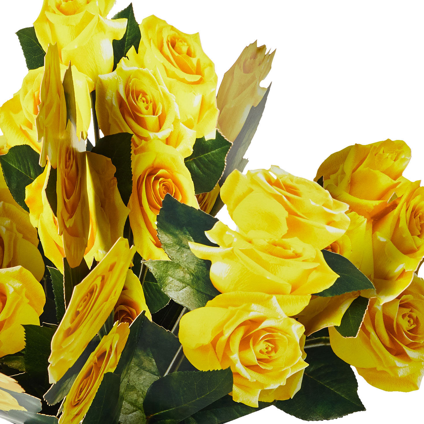 Build-a-Bouquet Yellow Roses Pop-Up Paper Flowers, Yellow Roses, large image number 4
