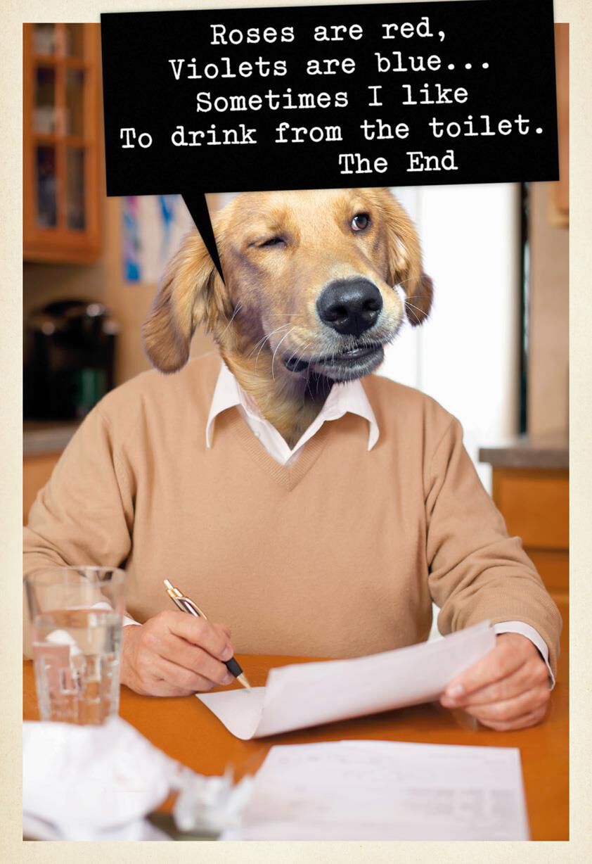 Dog Poet Funny Birthday Card Greeting Cards Hallmark