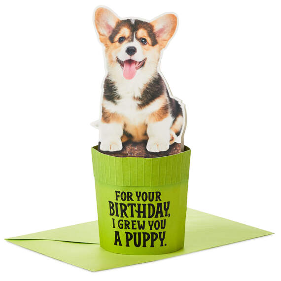 Puppy in a Pot Funny Pop-Up Birthday Card