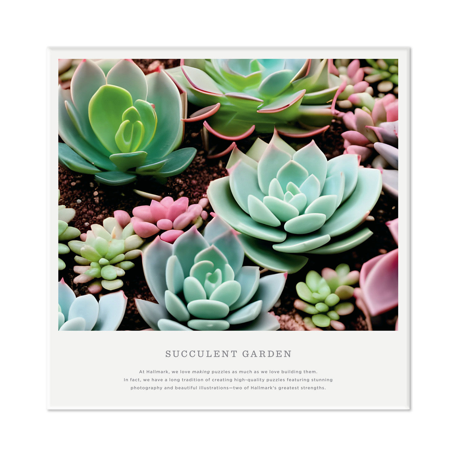 Succulent Garden 1000-Piece Jigsaw Puzzle for only USD 19.99 | Hallmark