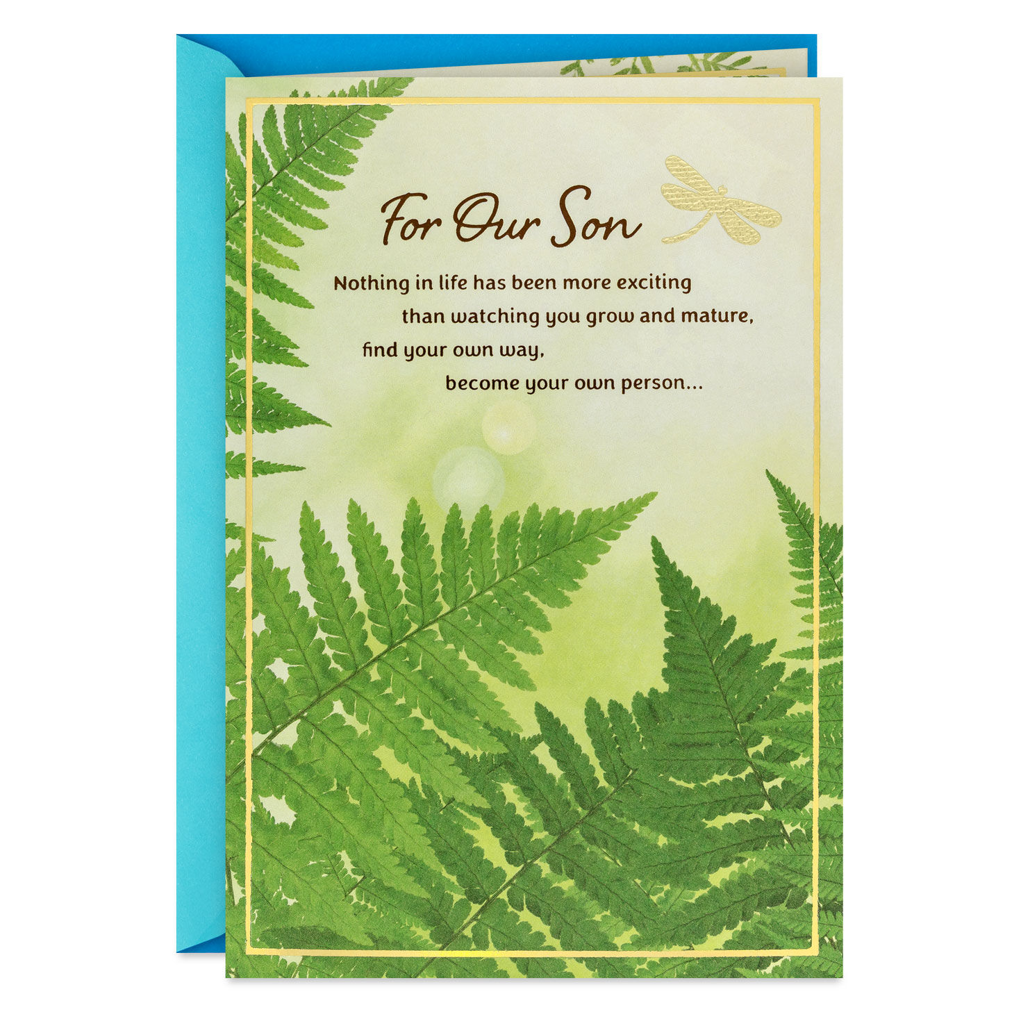 Nothing More Wonderful Than Having You for Our Son Birthday Card