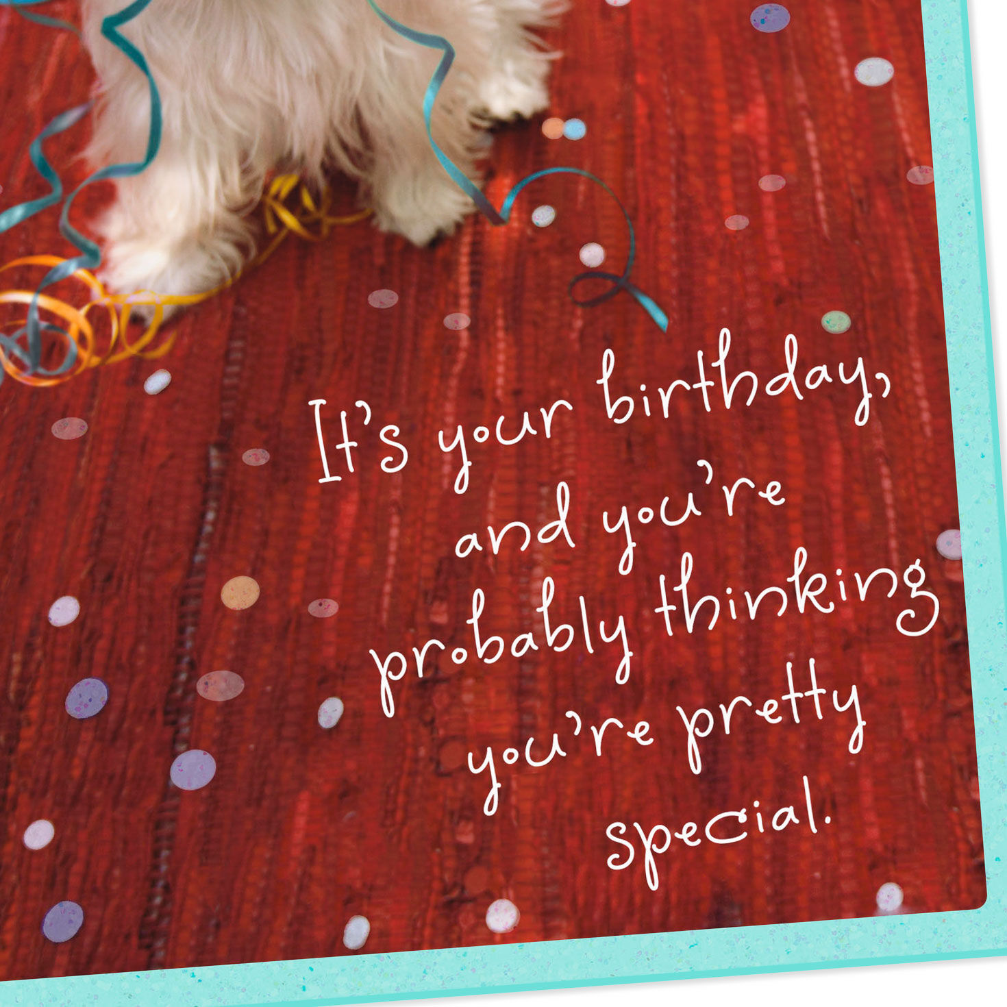 You're Pretty Special Birthday Card, , large image number 4