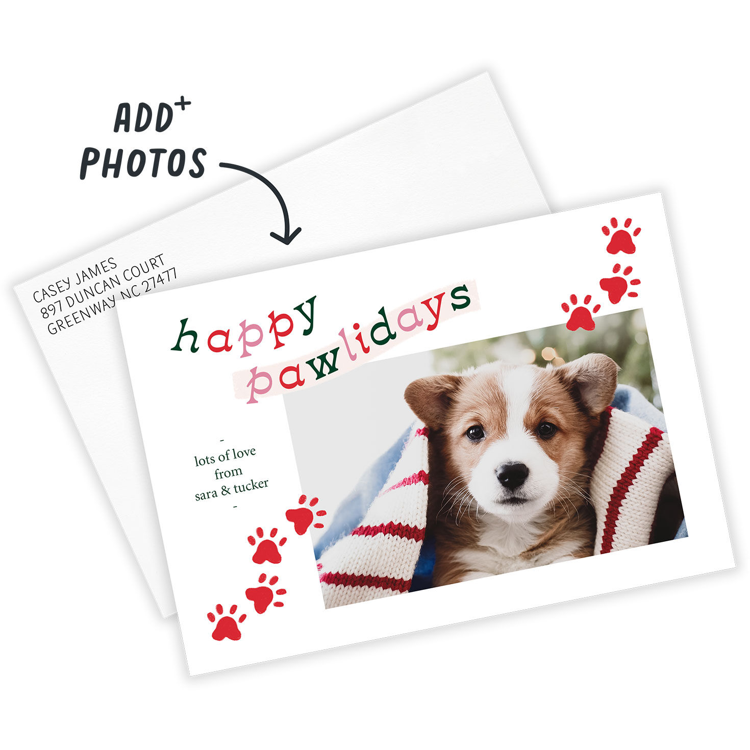 Fun Pawlidays Pet Flat Holiday Photo Card, , large image number 3