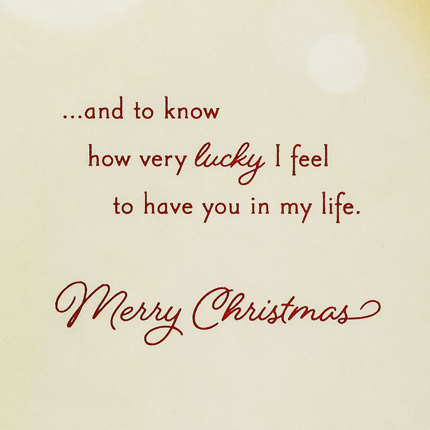 Glowing Village Poinsettia Christmas Card Sentiment image number 2