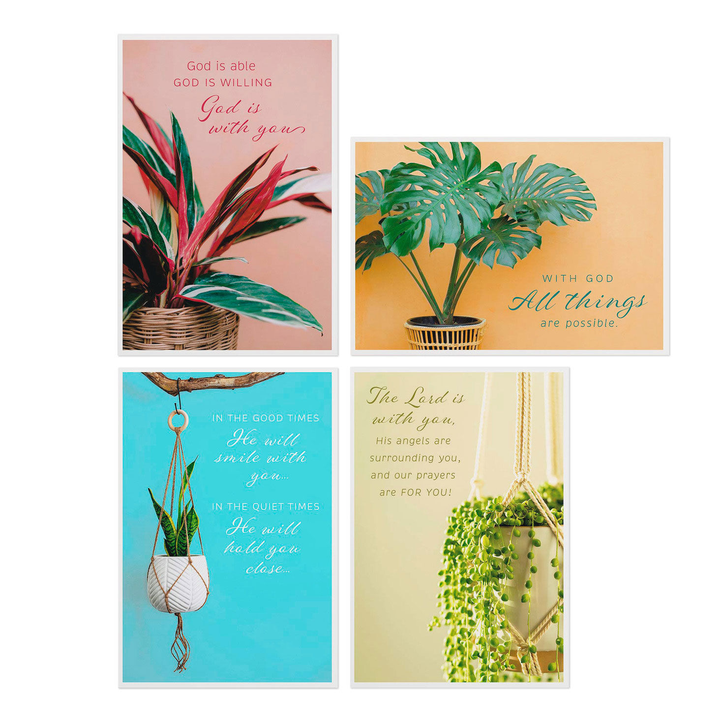 Simple Plants Assorted Religious Encouragement Cards, Box of 12
