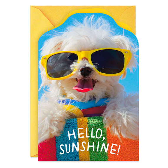 Dog in Sunglasses Hello Card