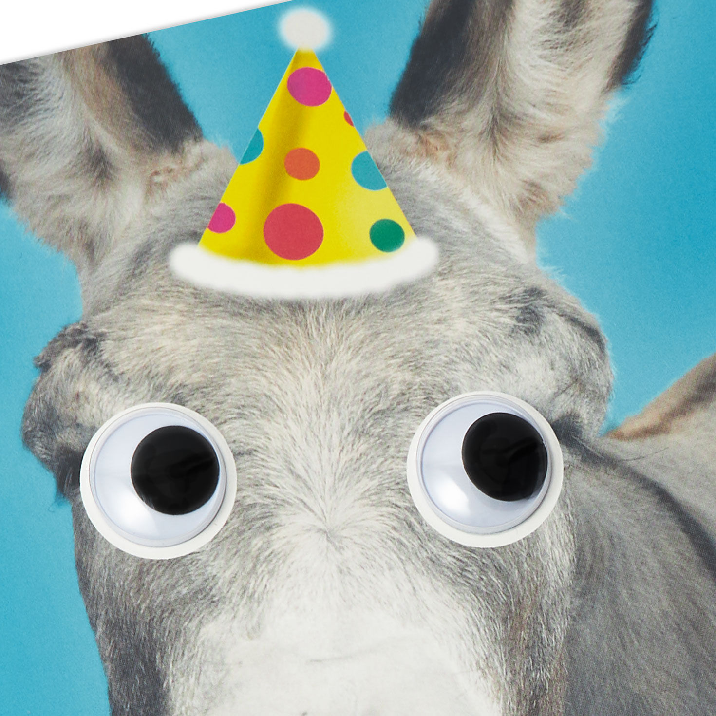 Donkey Ass Funny Birthday Card Card Front Detail image number 4