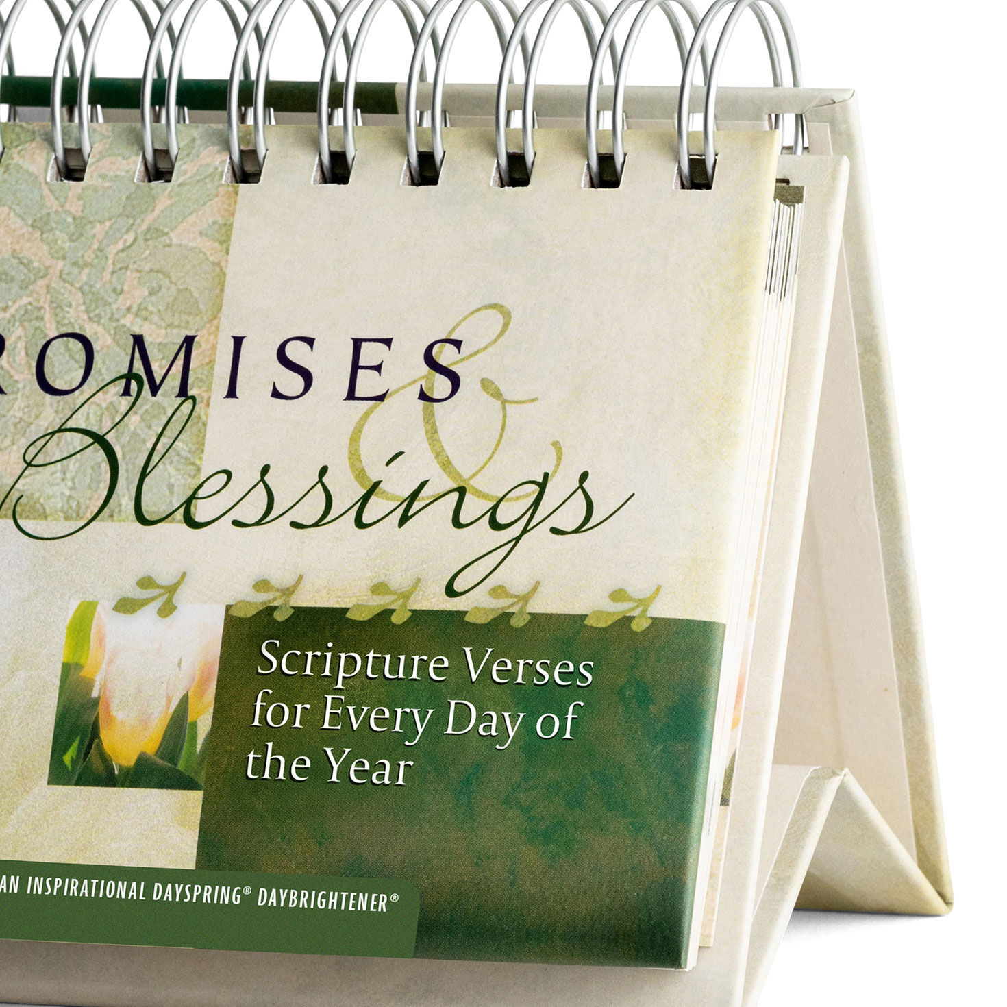 Promises and Blessings 365 Day Desk Calendar  image number 5