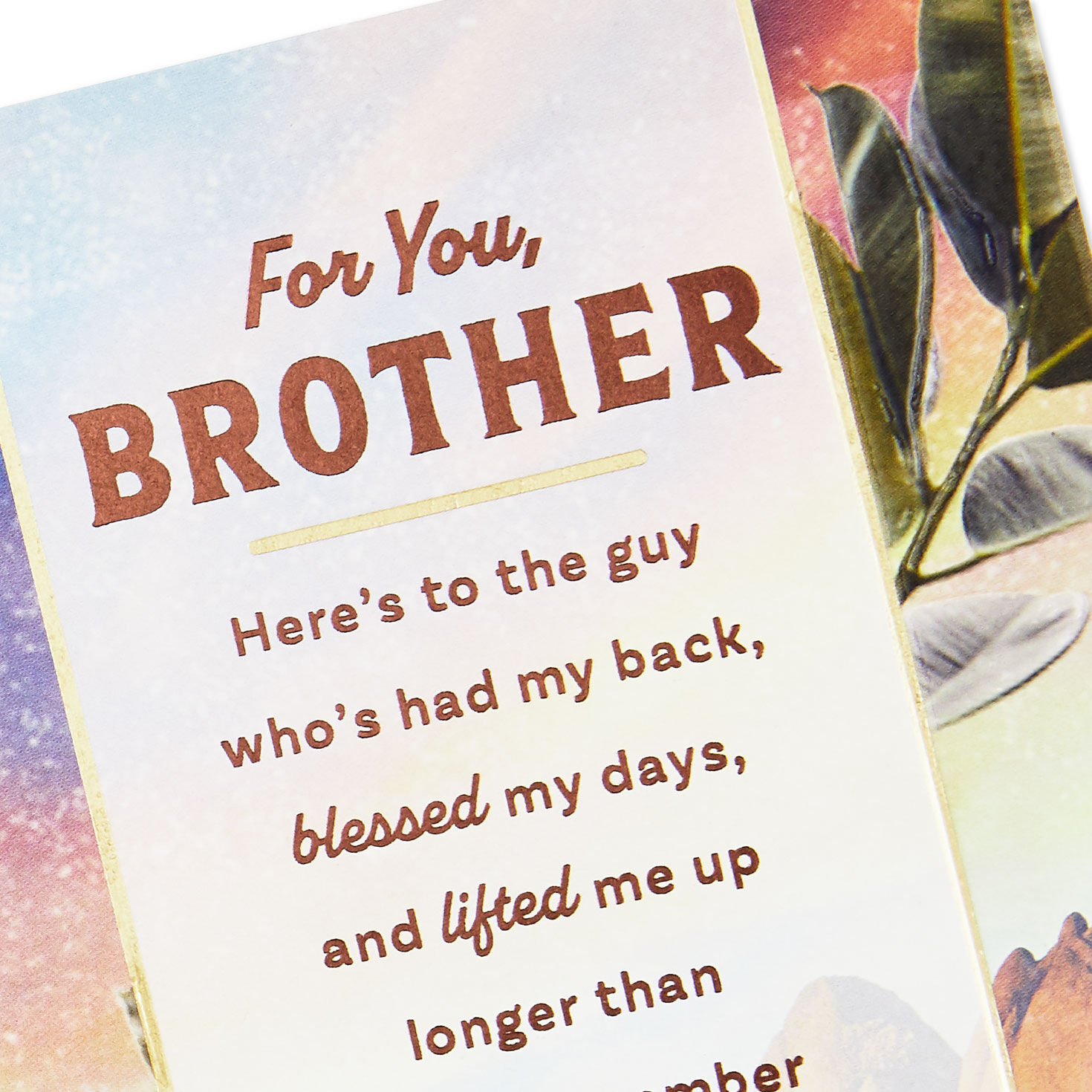 Here's to a Brother Who's Loved So Much Birthday Card for only USD 5.59 | Hallmark