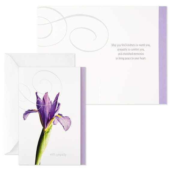 Flower Photos Assorted Sympathy Cards, Box of 12, , large image number 5