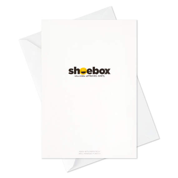 Funny Shoebox Assorted Blank Cards, Pack of 12, , large image number 8