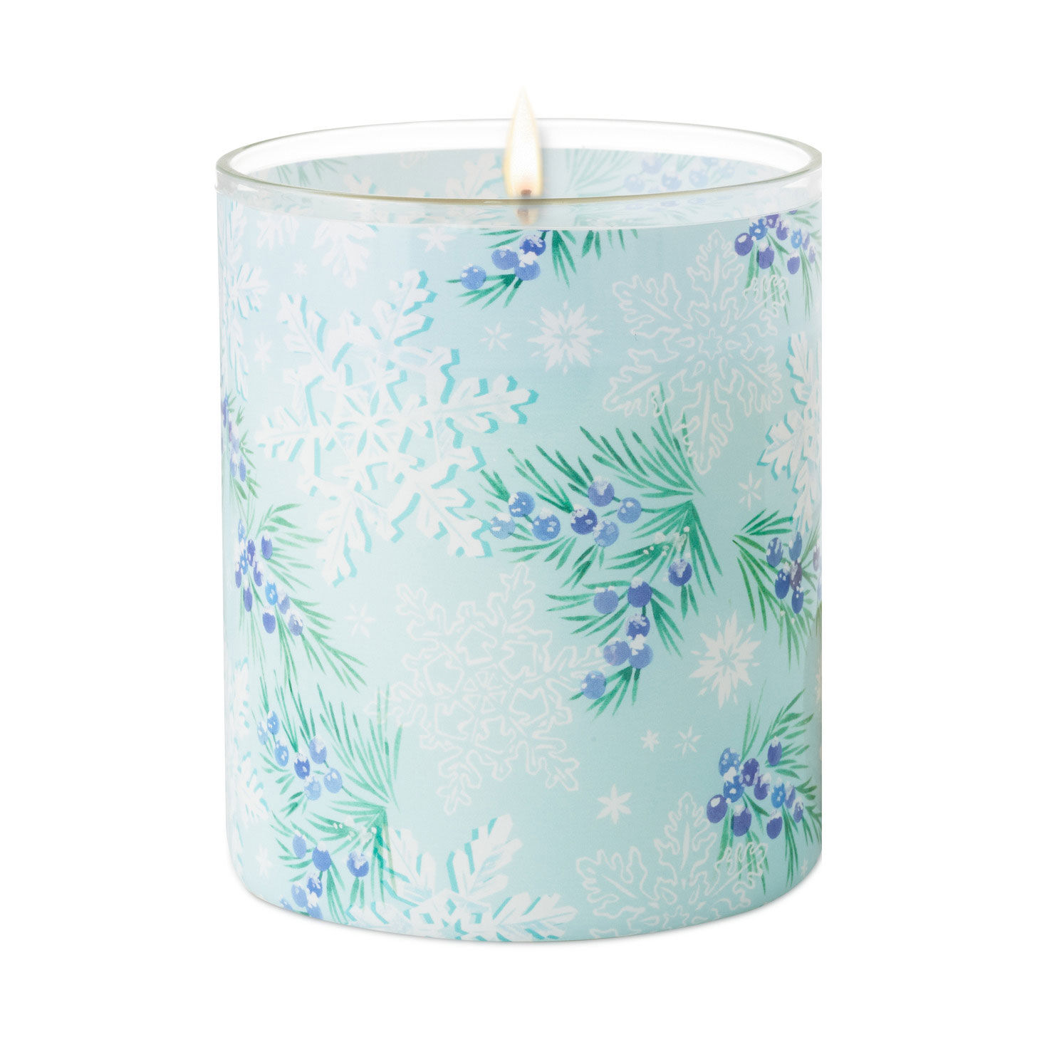 Chilled Mint and Vanilla Scented 2-Wick Jar Candle, 14.5 oz. for only USD 19.99 | Hallmark