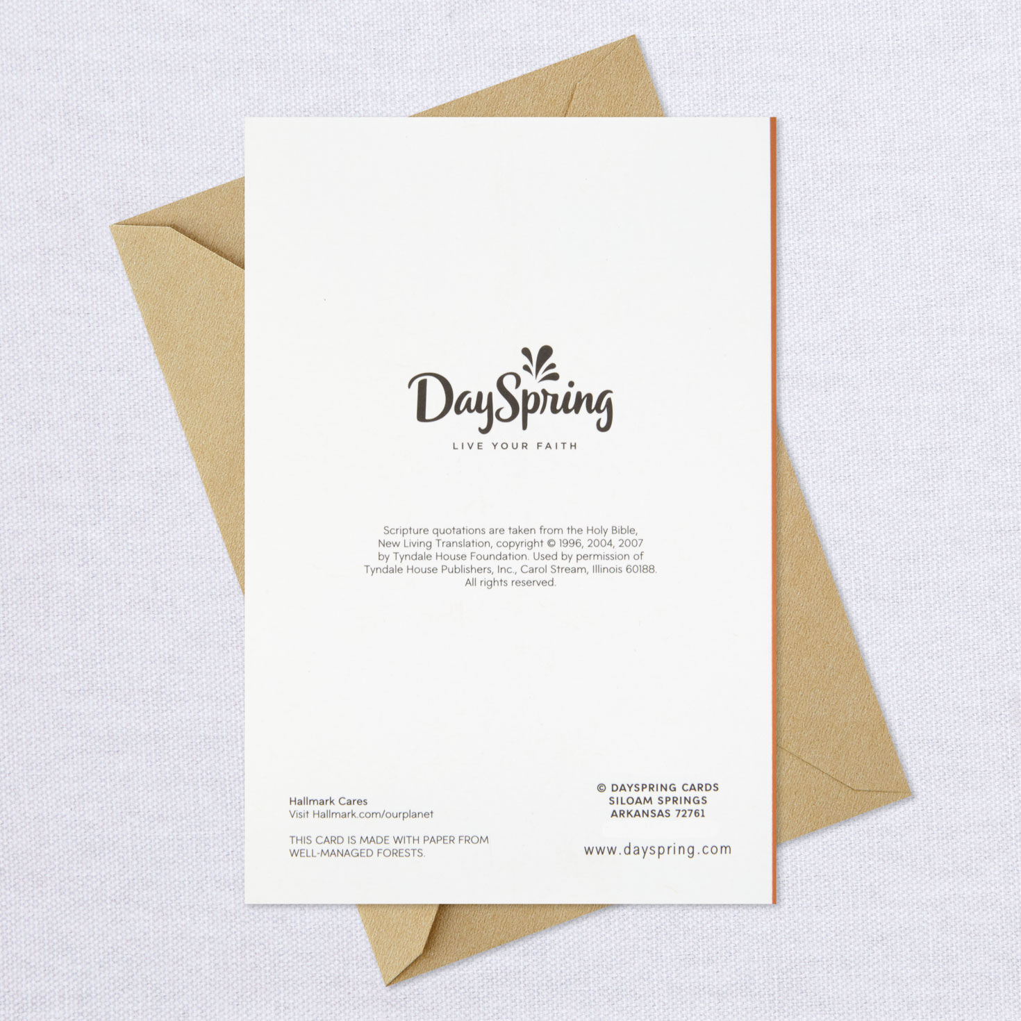 Assorted Religious Thanksgiving Cards, Pack of 6, , large image number 7