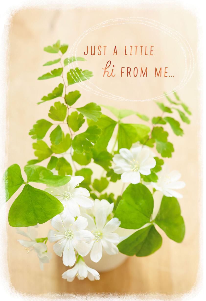 A Little Hi Thinking of You Card