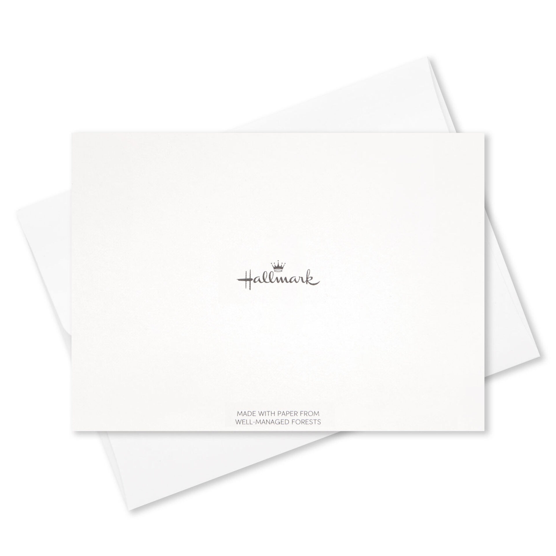 You're Amazing Blank Note Cards, Box of 10 Note Cards Hallmark