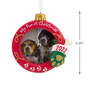 My Fur-st Christmas Pets 2022 Photo Frame Hallmark Ornament, , large image number 3