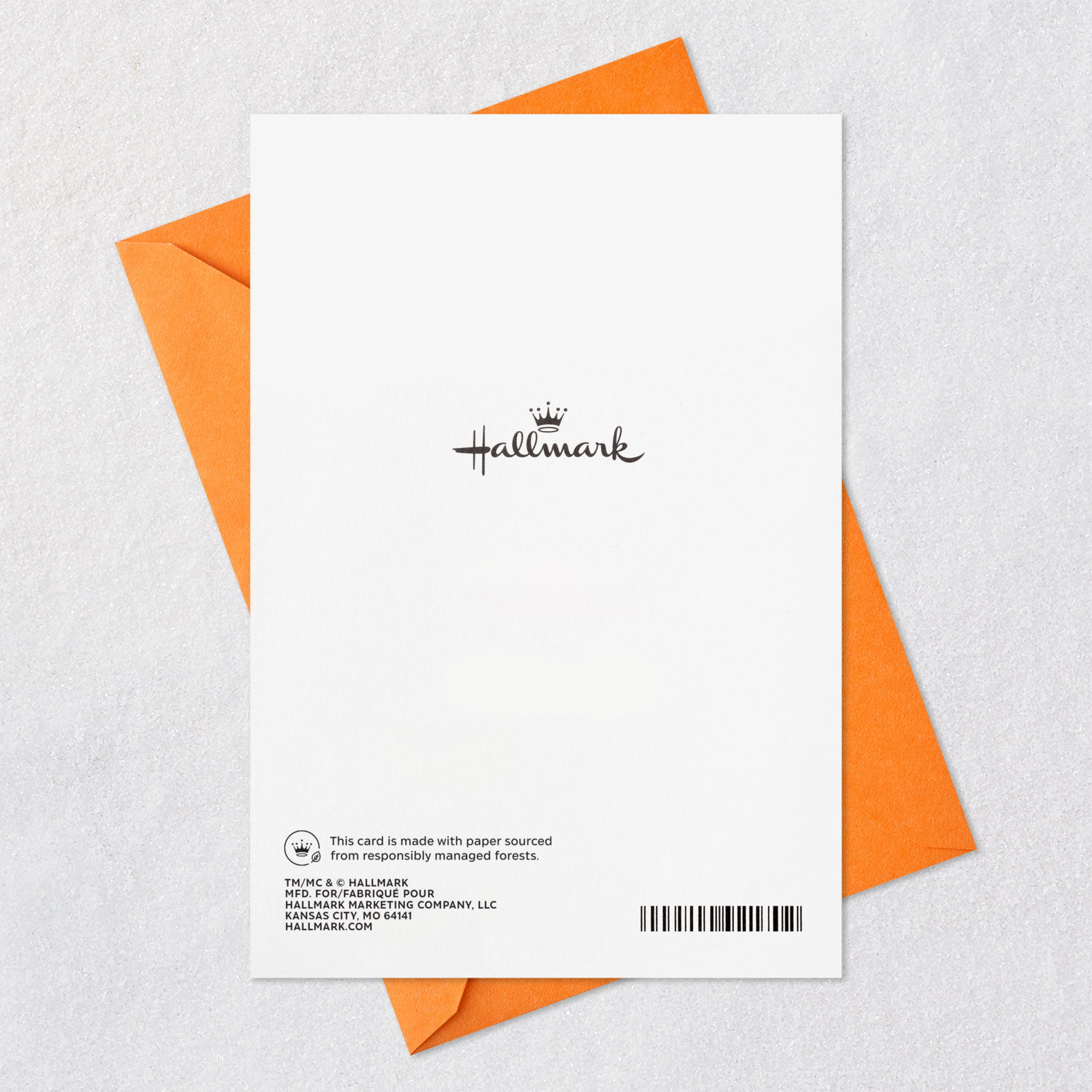 Cute Dog Photos Birthday Card Card Back with Envelope image number 10