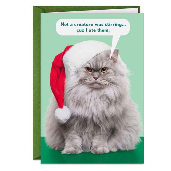 Santa Cat Funny Christmas Card, , large image number 1