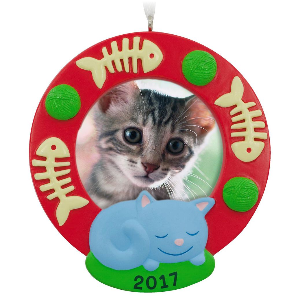 Cat 2017 Picture Frame Hallmark Ornament Gift Ornaments Hallmark