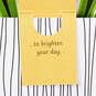 Spider Plant Keep Growing 3D Pop-Up Hello Card, , large image number 3