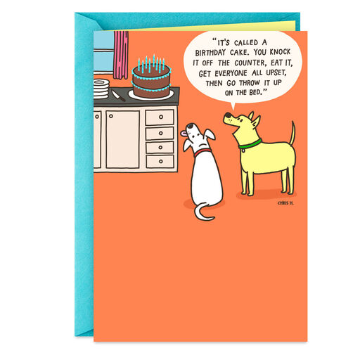 Naughty Dogs With Cake Funny Birthday Card, 