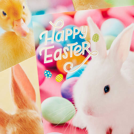 Cute Animals Boxed Easter Cards Assortment, Pack of 16, , large image number 4
