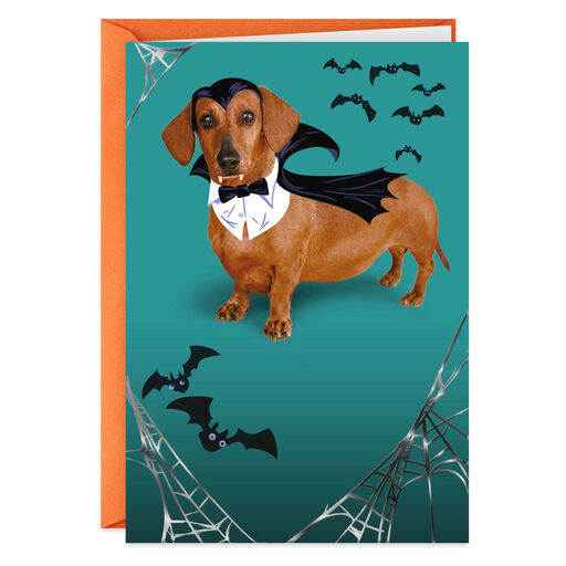 Wiener Dog in Vampire Costume Funny Halloween Card, 