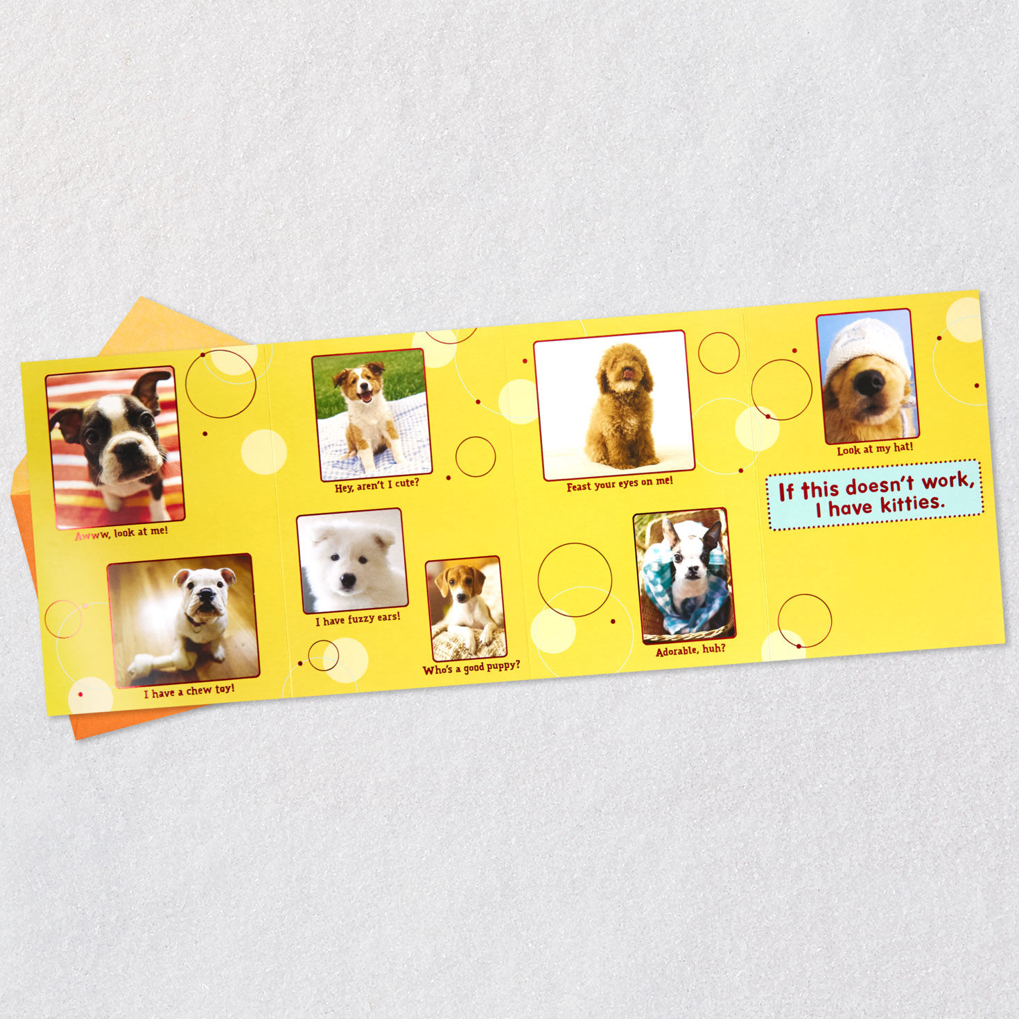 Cute Dog Photos Birthday Card Open card with envelope image number 6