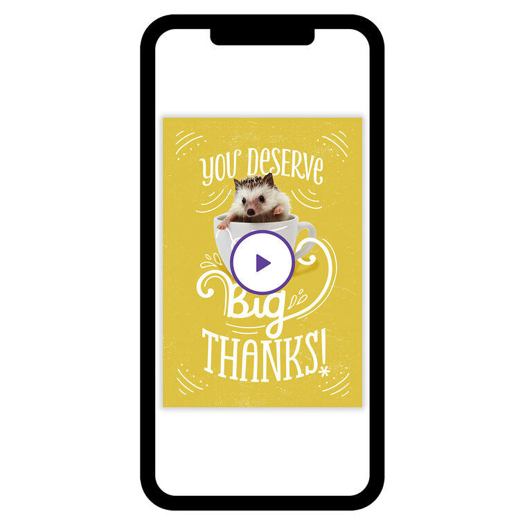 A Little Niceness Thank-You eCard