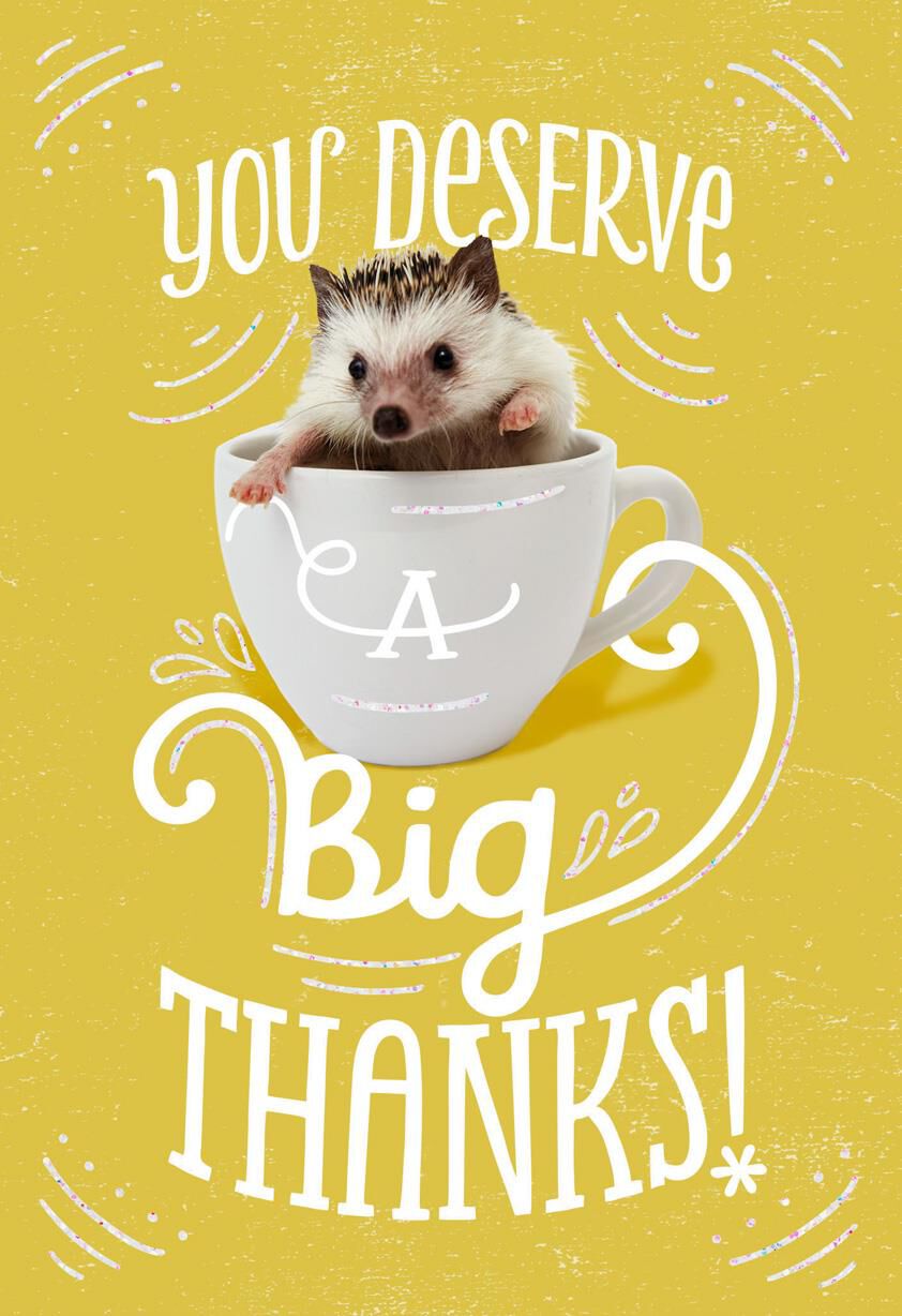 Nice Hedgehog Thank You Card