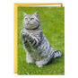 Gray Tabby Cat Praying Funny Get Well Card Card Front image number 1