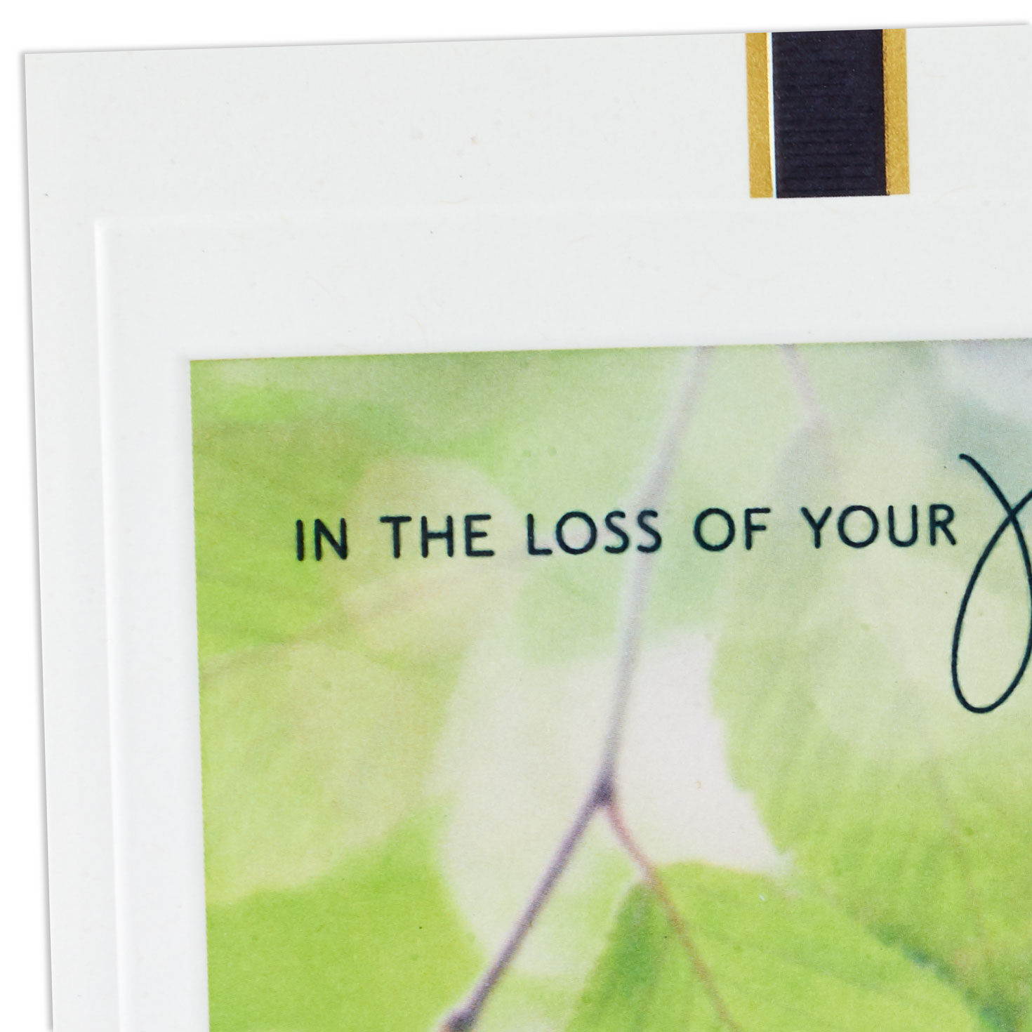Photo of Leaves Sympathy Card for Loss of Brother Card Front Detail image number 4