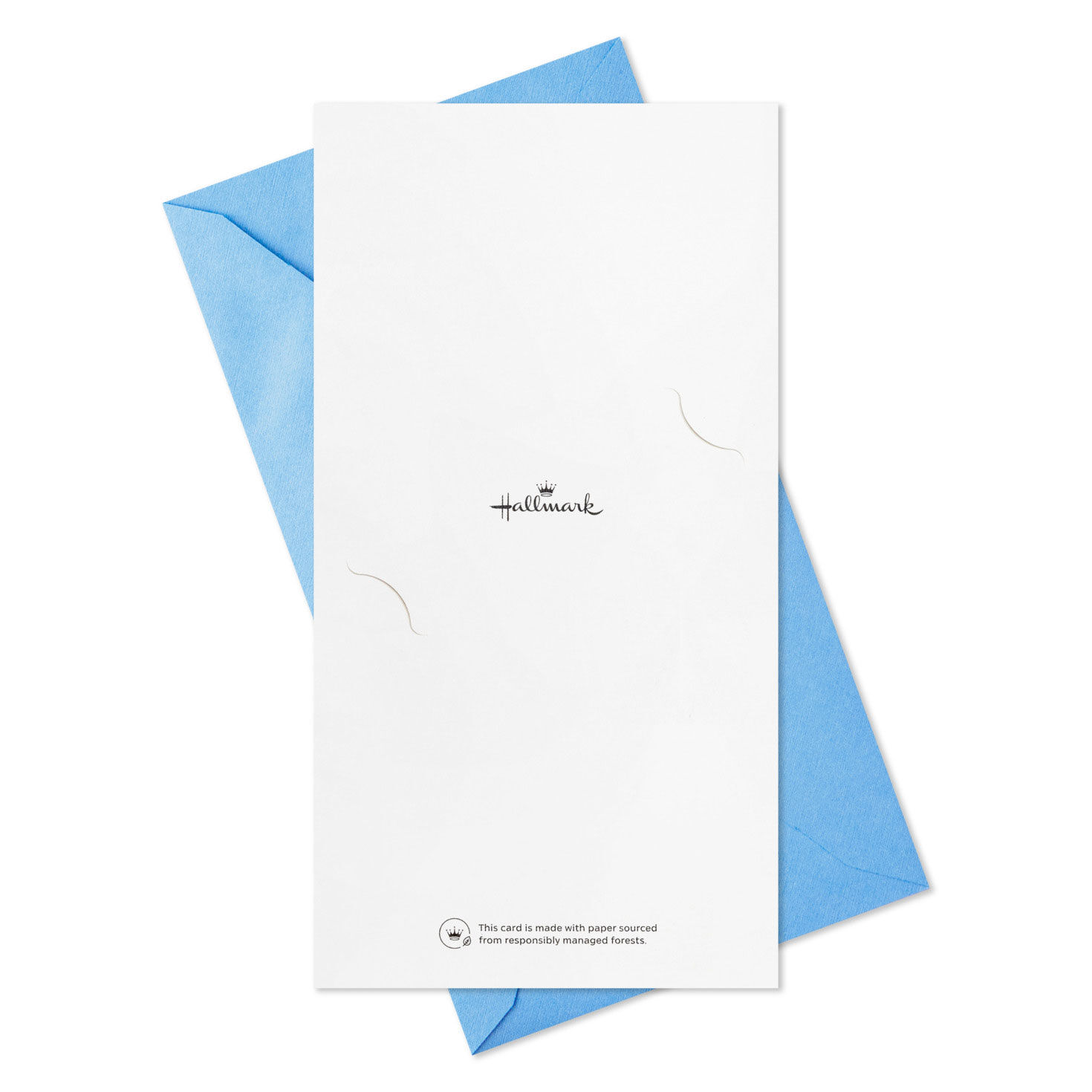 Festive Grad Wishes Graduation Cards Assortment, Pack of 36, , large image number 8