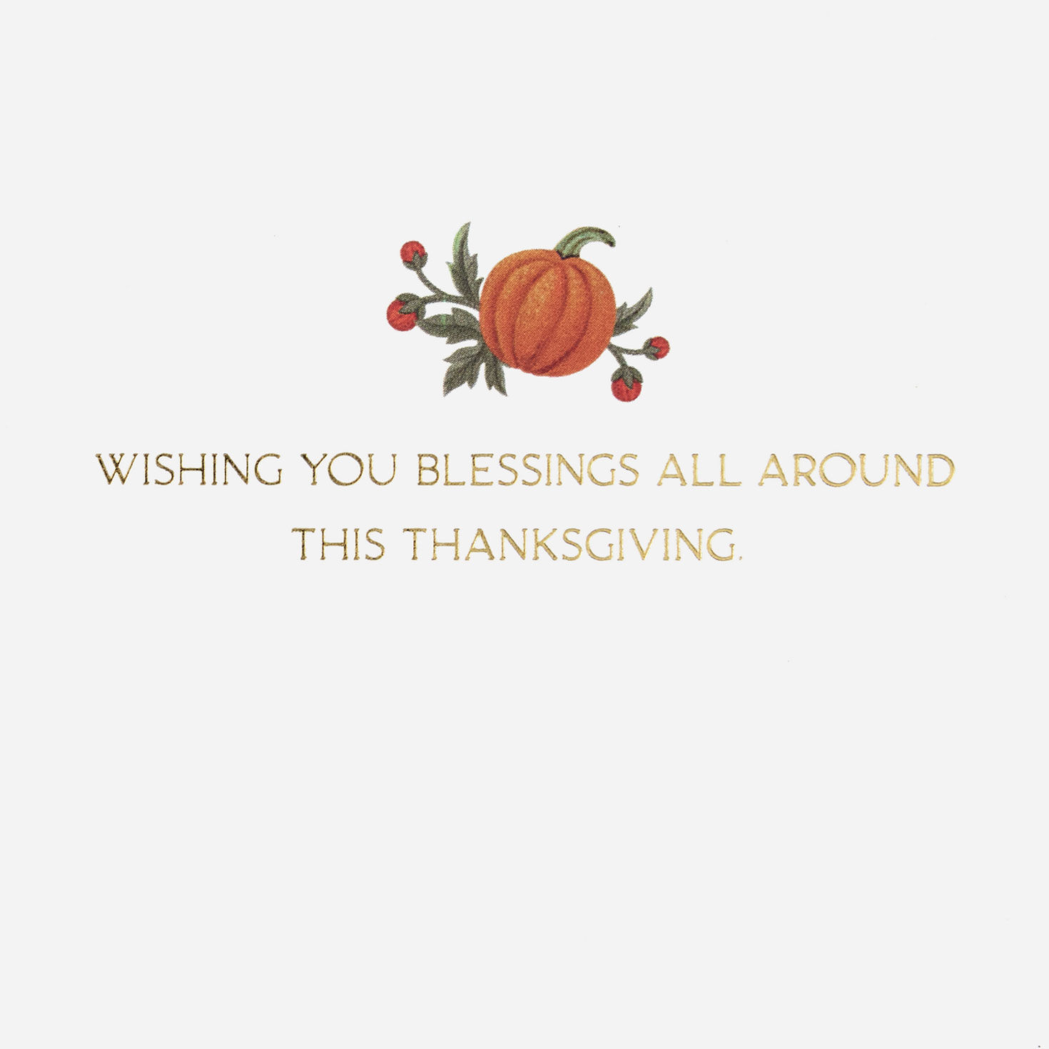 Pumpkins and Mums Thanksgiving Blessings Card Sentiment image number 2