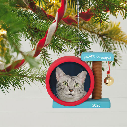 Purr-fect Christmas 2023 Photo Frame Ornament, 