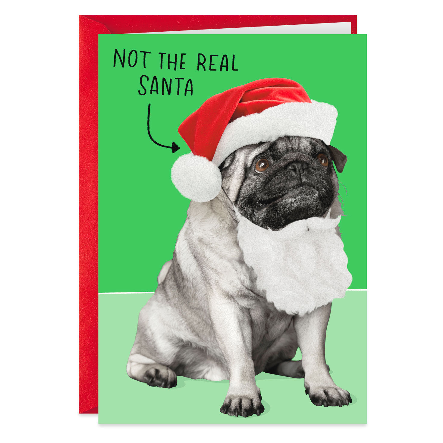 Santa Dog Not A Present Funny Christmas Card