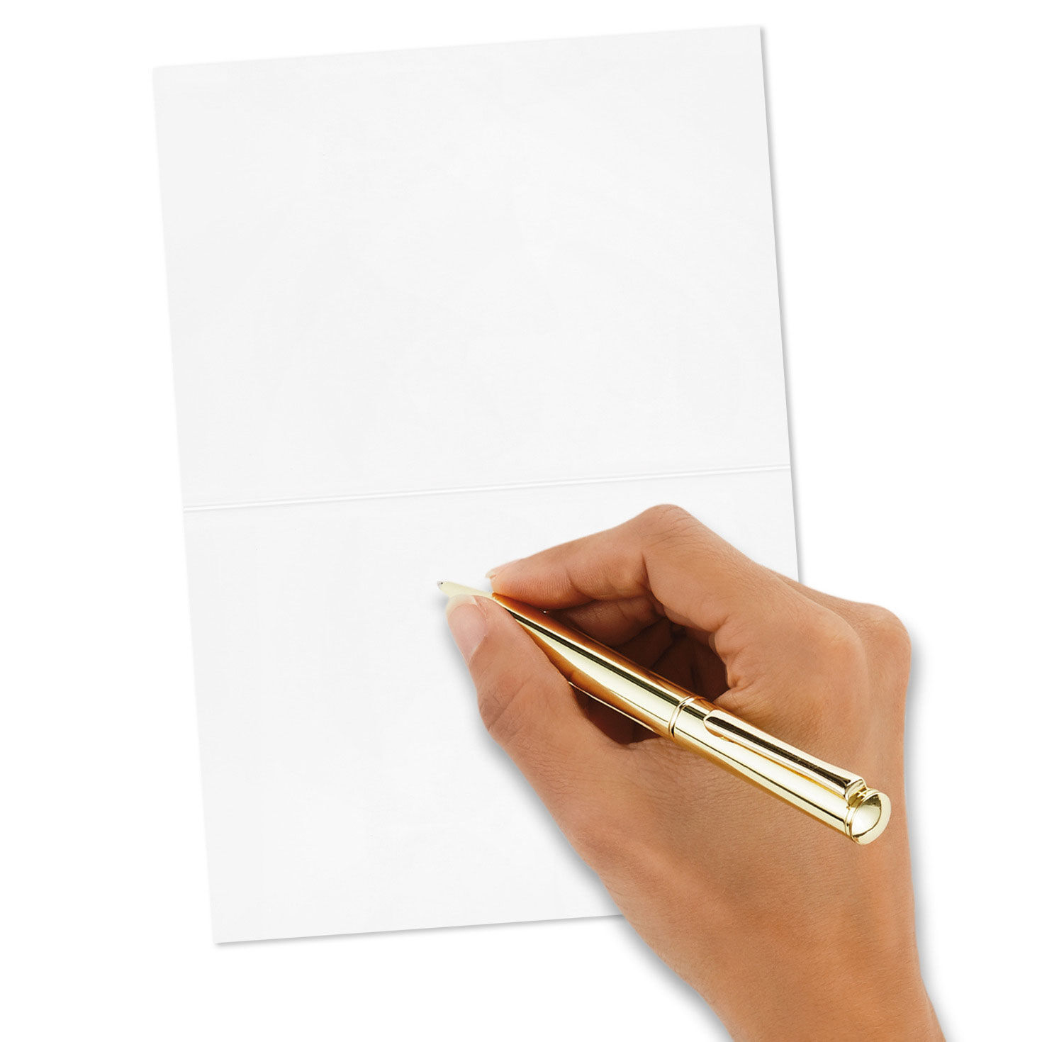 Cardinals in Snow Blank Thank-You Cards, Pack of 20, , large image number 4