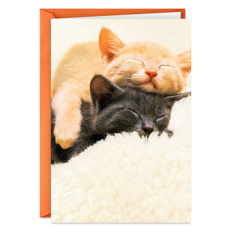 Spending All Nine Lives With You Love Card