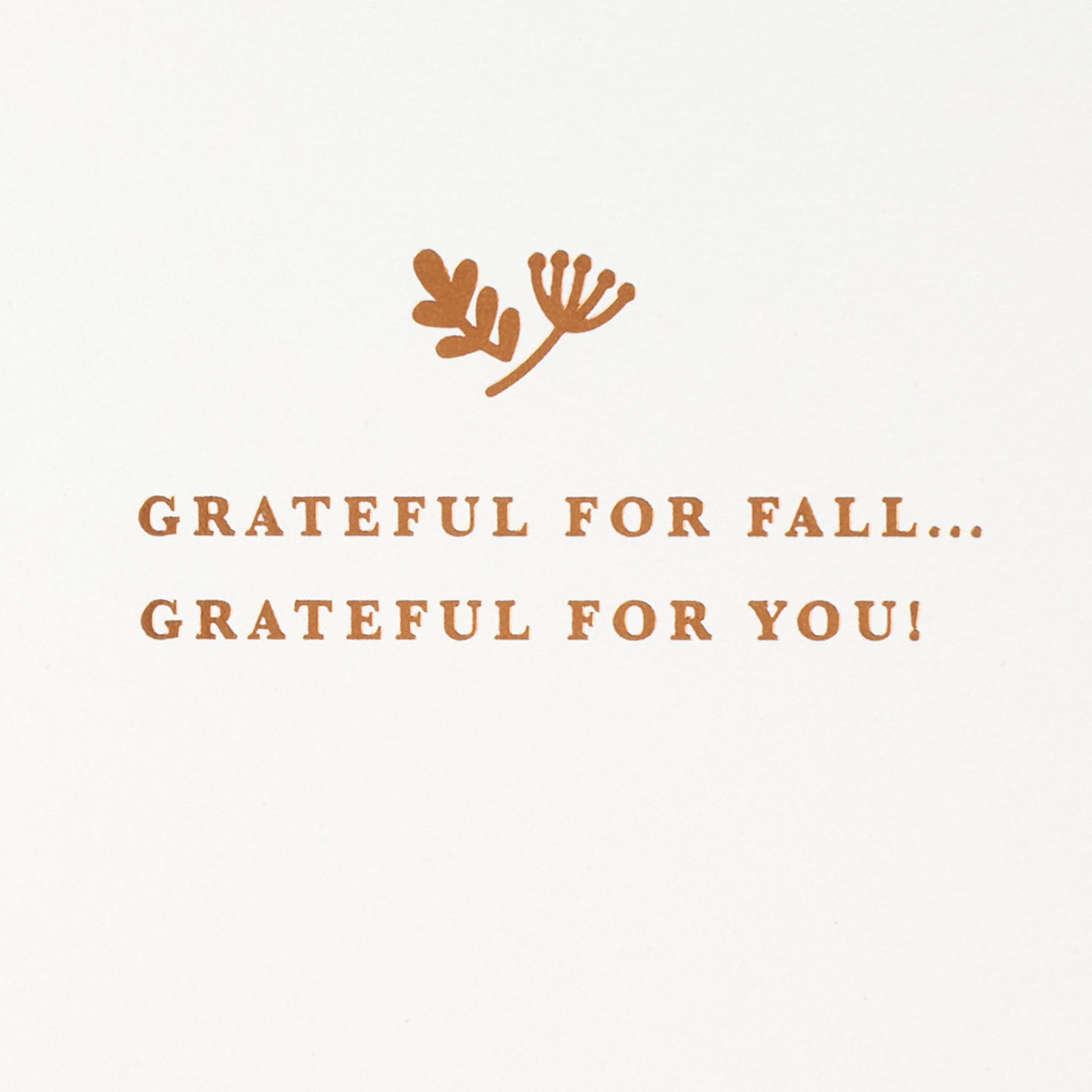 3D Pumpkins and Fall Leaves Halloween Card sentiment image number 2
