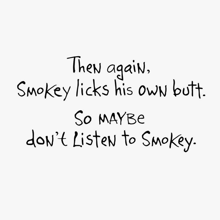 Mean Gray Cat Funny Birthday Card Sentiment image number 2